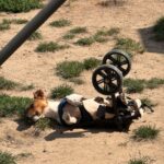 Unfälle sind auch passiert