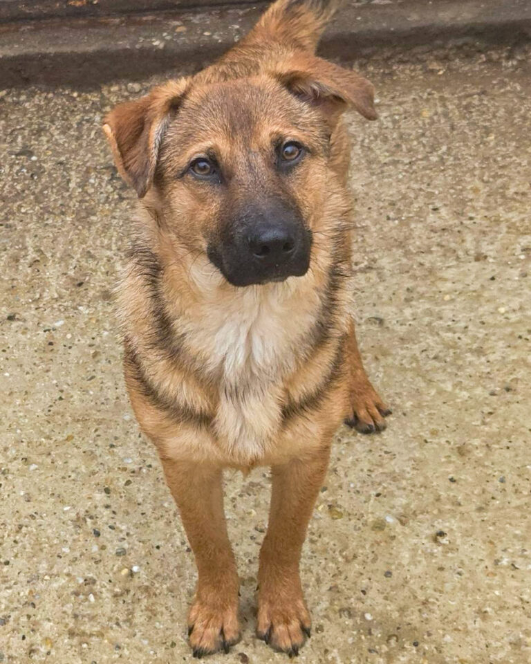 Amira_2_Februar_2026