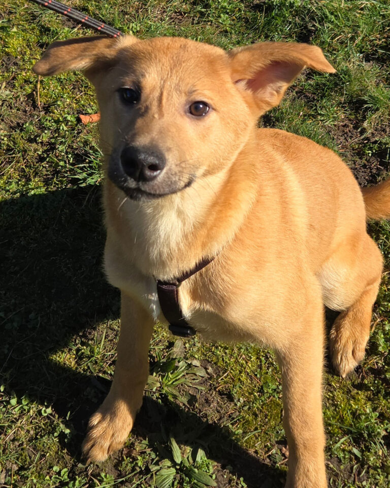 Binki_1_Februar_2026