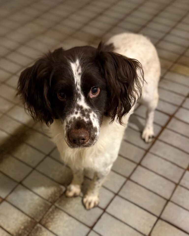 Jozek_1_Februar_2026