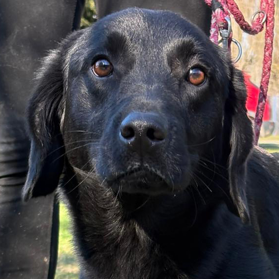 Nils_Quadrat_März_2026