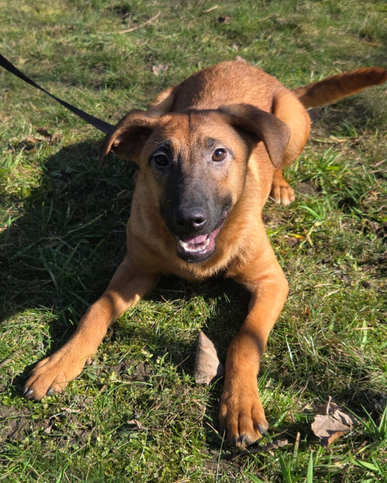 Paloma_2_Februar_2026