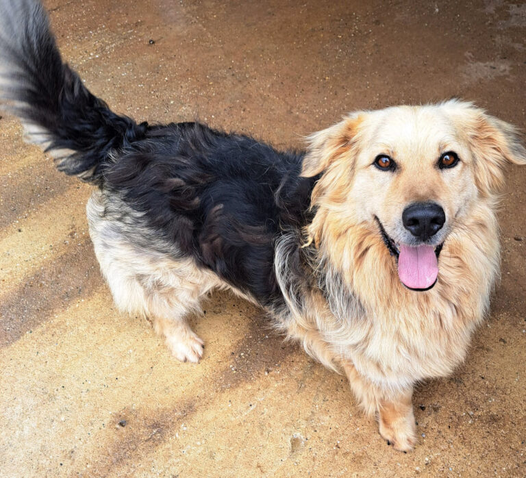 Pista_3_Juni_2024_bearbeitet