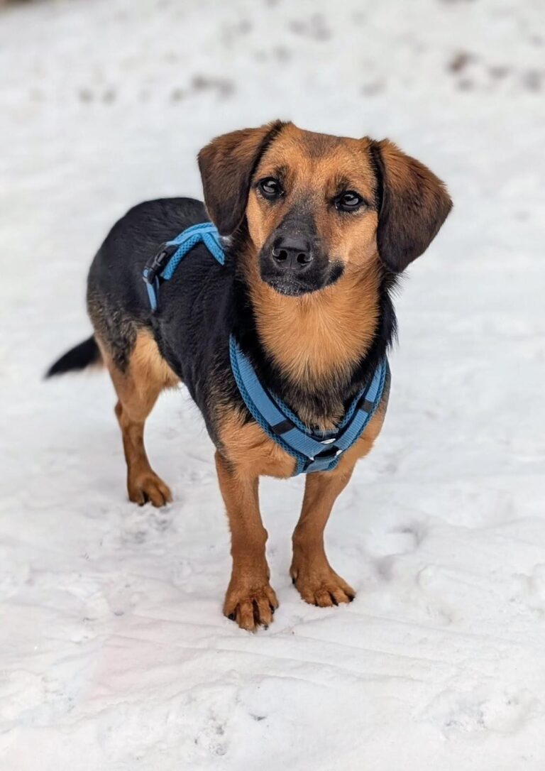 aa66406e-a357-4011-86cc-a9ca8d2932ce